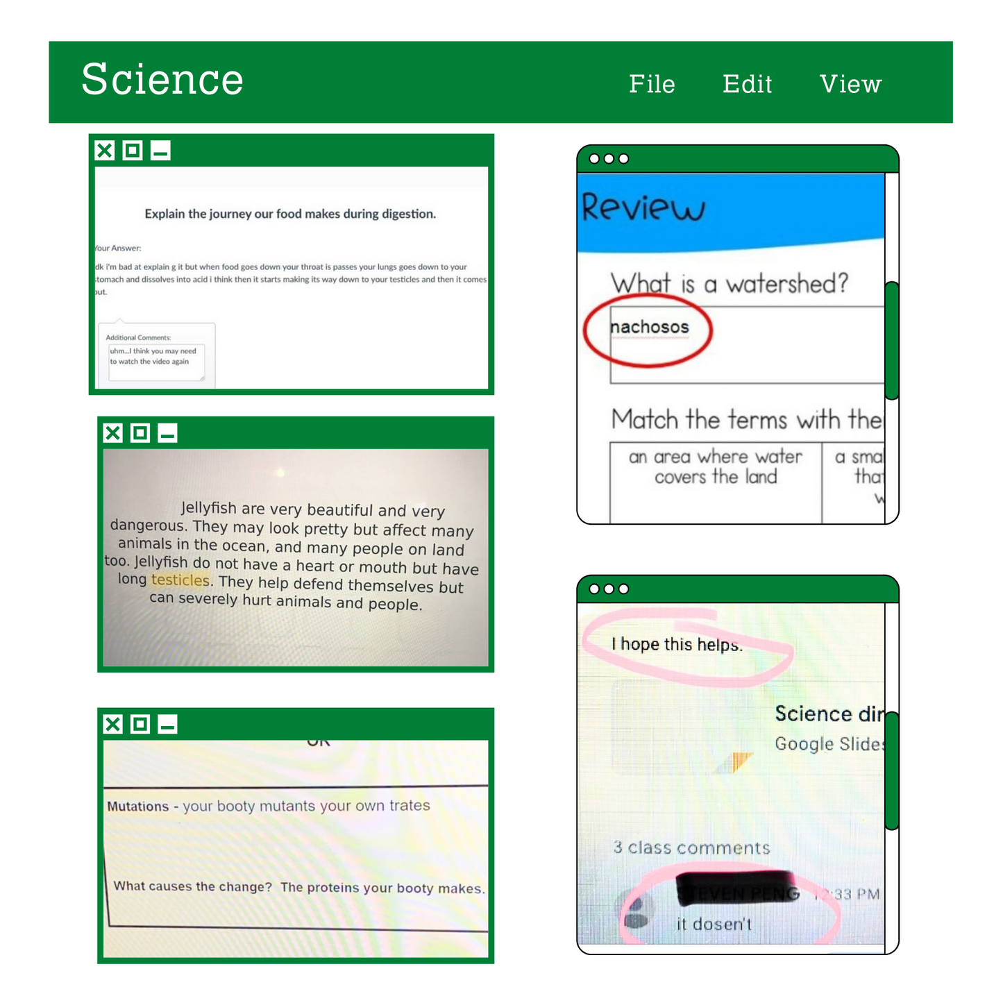 The 'Rona Roundup Book: Hilarious Nonsense from Remote Learning