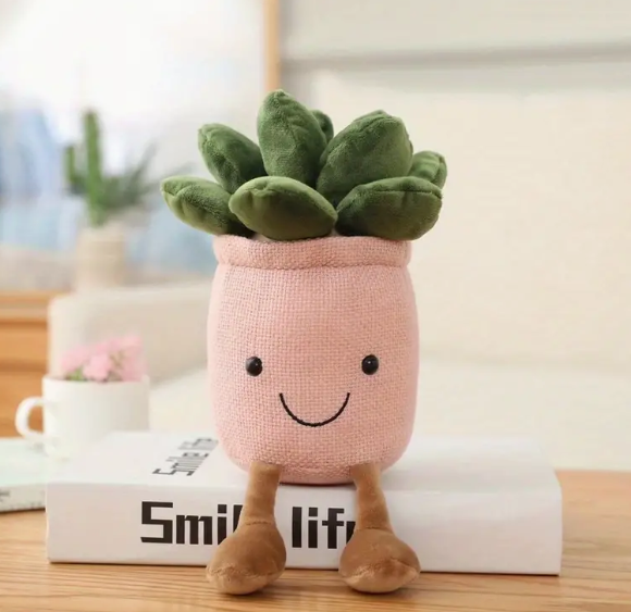 teddy succulent Plush succulent plant friend pink pot – TeacherMisery