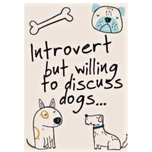 Jumbo Magnet DOG Introvert but willing to discuss