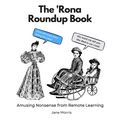 The 'Rona Roundup Book: Hilarious Nonsense from Remote Learning