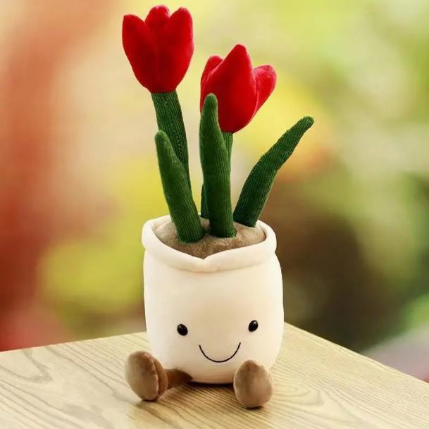 Plush red tulips plant